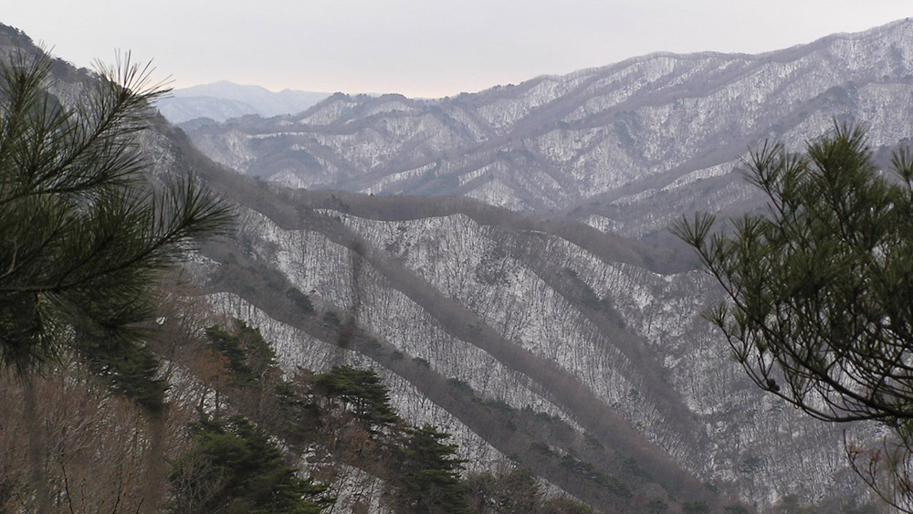 매화산등산로